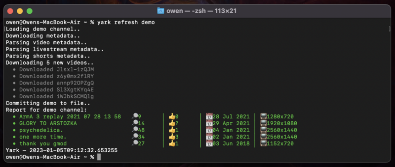 Файл:Yark cli dark.png